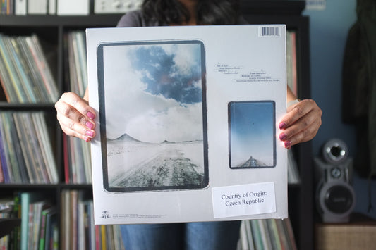 Modest Mouse - The Lonesome Crowded West
