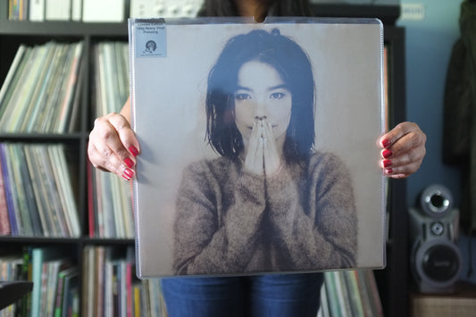 Björk - Debut