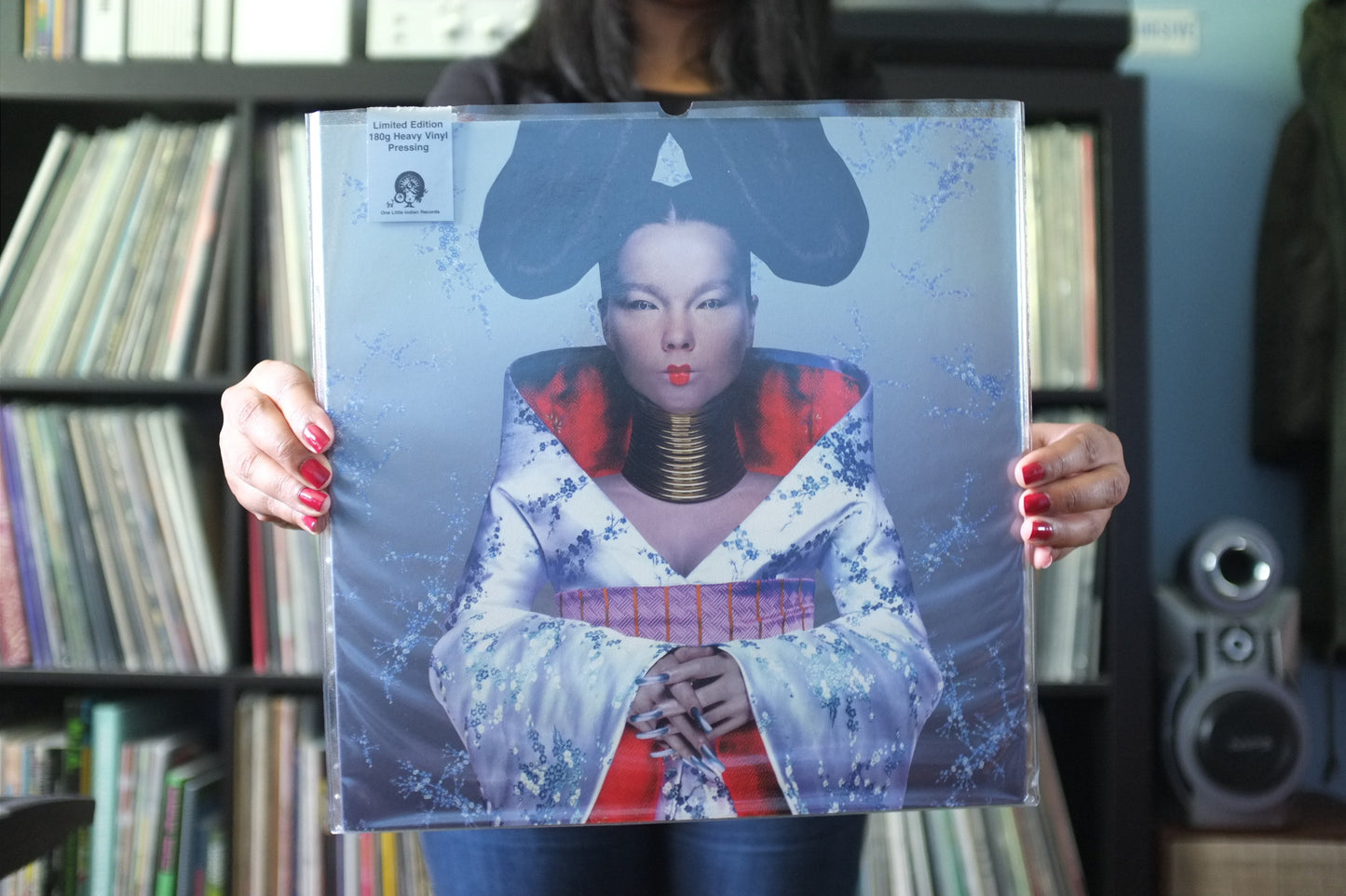 Björk - Homogenic