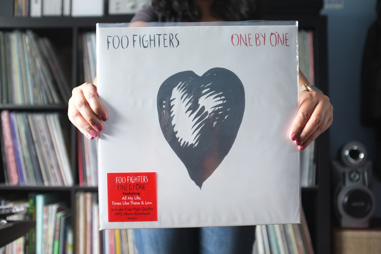 Foo Fighters - One By One