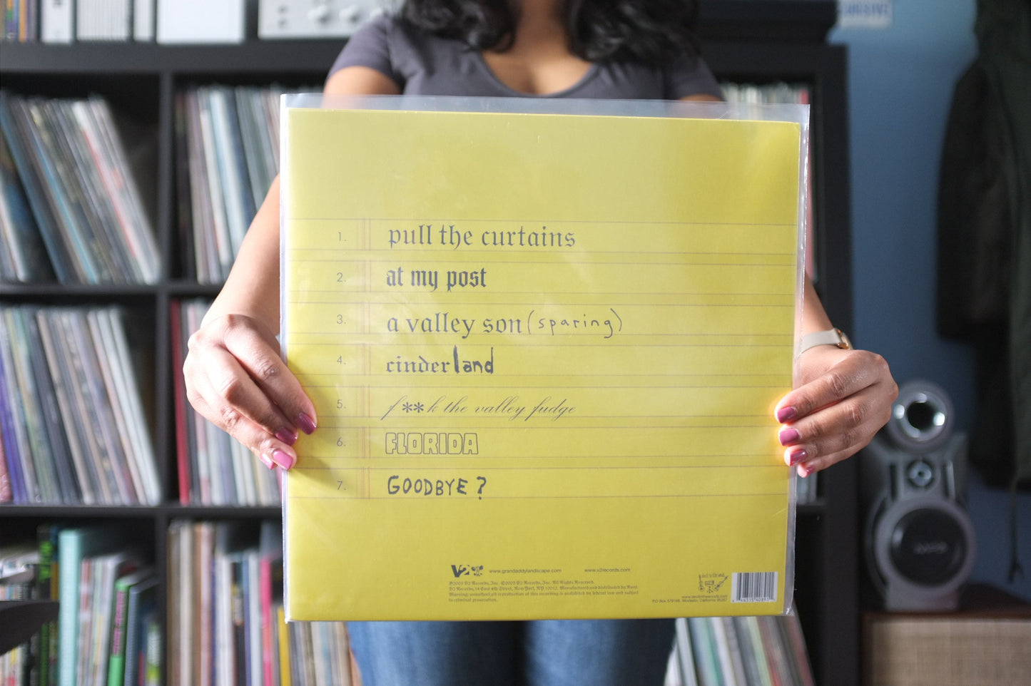 Grandaddy - Excerpts From The Diary Of Todd Zilla