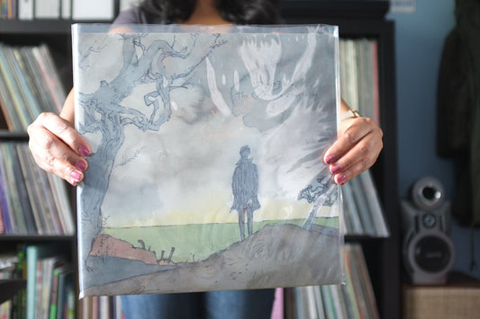 James Blake - The Colour In Anything