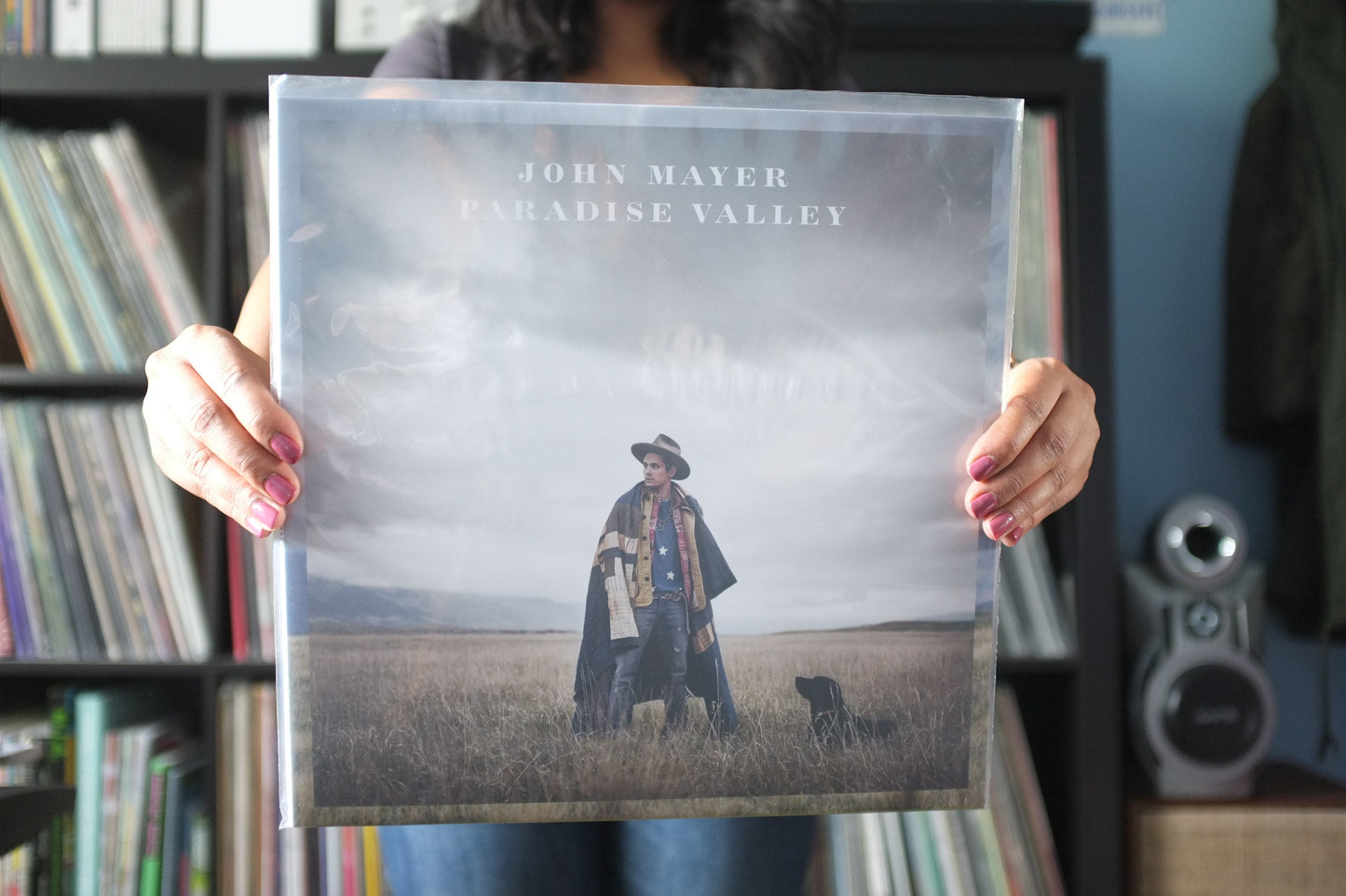 John Mayer - Paradise Valley