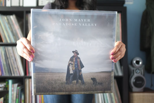 John Mayer - Paradise Valley